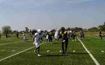 BUSCARÁ LINCES DE CELAYA CONSAGRARSE CAMPEÓN DE LA LIGA LEXFA