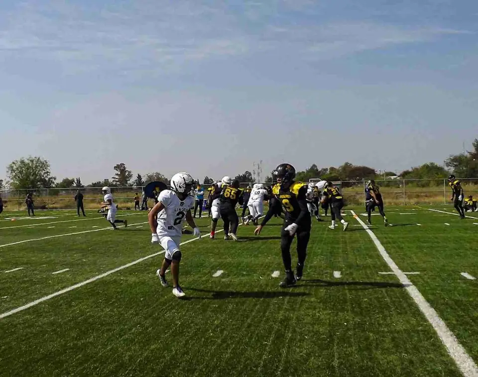 BUSCARÁ LINCES DE CELAYA CONSAGRARSE CAMPEÓN DE LA LIGA LEXFA