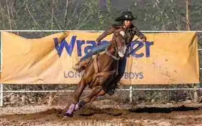 LOGRAN CELAYENSES PRIMEROS LUGARES EN RODEO