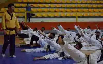 BRINDAN ACTUALIZACIÓN EN FORMAS DE TAEKWONDO
