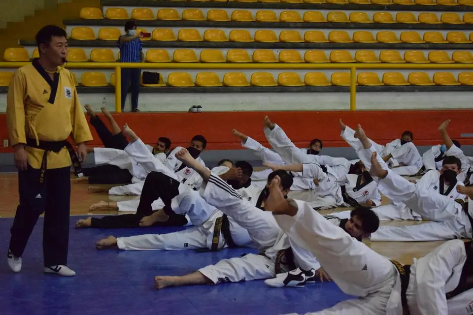 BRINDAN ACTUALIZACIÓN EN FORMAS DE TAEKWONDO