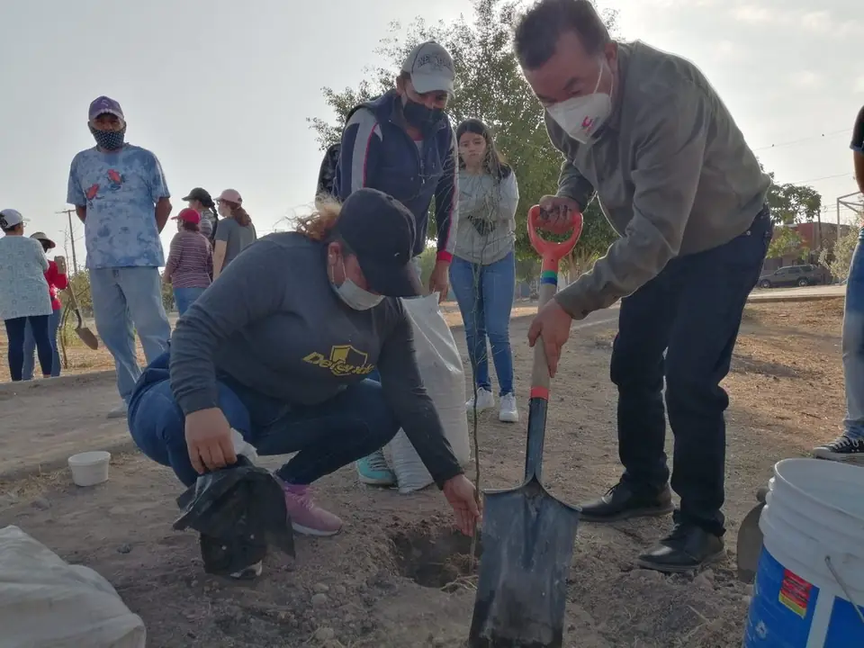 ARRANCA PROGRAMA DE REFORESTACIÓN EN UNIDADES DEPORTIVAS