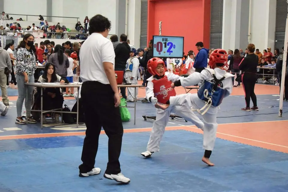 REALIZAN TORNEO DE TAEKWONDO COPAT CELAYA
