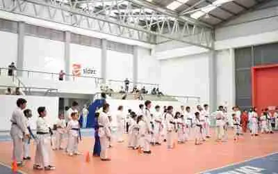 IMPARTEN CAPACITACIÓN DE TAEKWONDO A NIÑOS Y JOVENES CELAYENSES