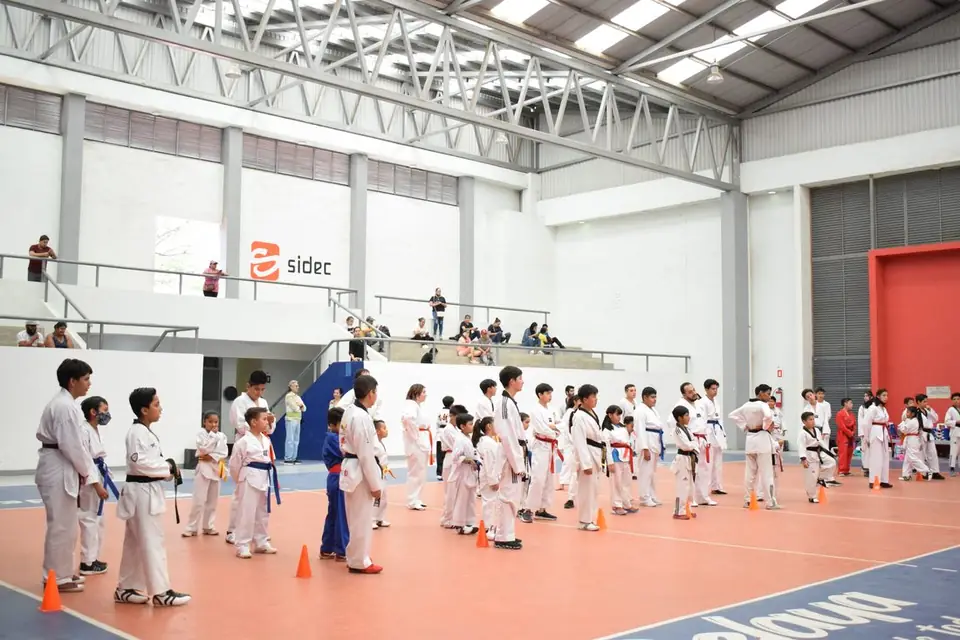 IMPARTEN CAPACITACIÓN DE TAEKWONDO A NIÑOS Y JOVENES CELAYENSES