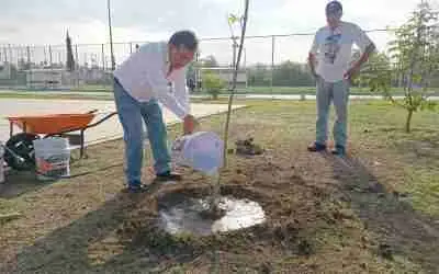 REFORESTACIÓN EN LA DEPORTIVA GRAN HACIENDA