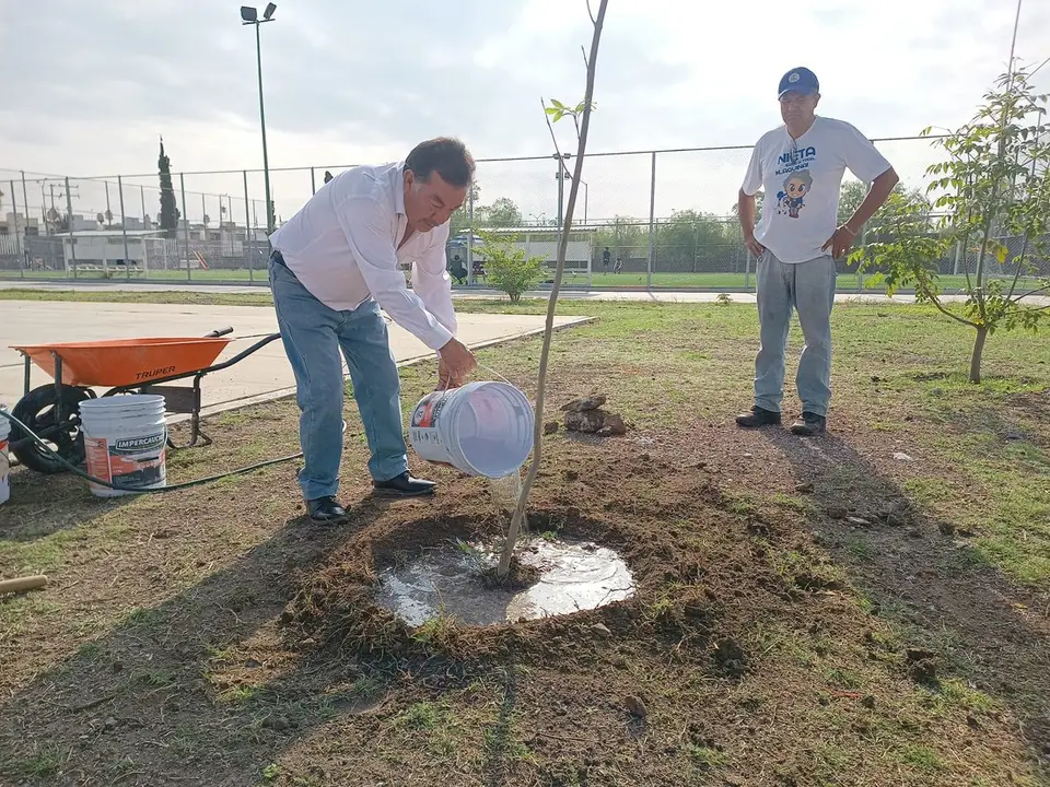 REFORESTACIÓN EN LA DEPORTIVA GRAN HACIENDA