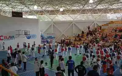 ALBERGÓ CELAYA SEGUNDO FOGUEO DE COMBATE DE TAEKWONDO