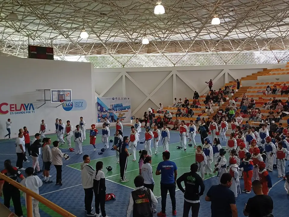 ALBERGÓ CELAYA SEGUNDO FOGUEO DE COMBATE DE TAEKWONDO
