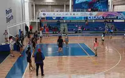 BUSCAN TALENTO PARA TORITAS CELAYA