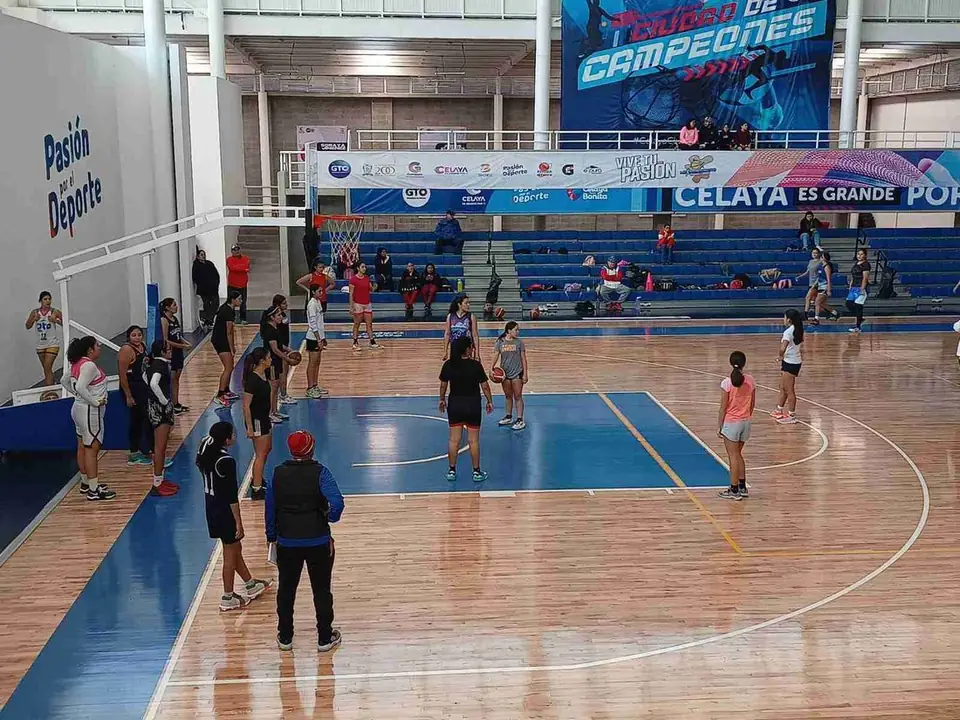 BUSCAN TALENTO PARA TORITAS CELAYA