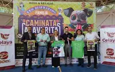 TODO LISTO PARA LA 9NA EDICIÓN DE LA CAMINATA CALAVERITAS