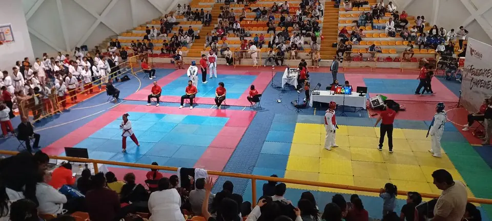 RECIBIÓ CELAYA SELECTIVO ESTATAL DE LA ASOCIACIÓN GUANAJAUTENSE DE TAEKWONDO