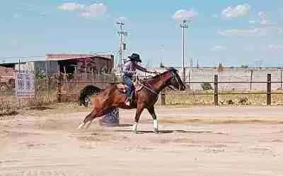 SE REALIZÓ 1ER SELECTIVO ESTATAL DE RODEO RUMBO A NACIONALES CONADE 2025