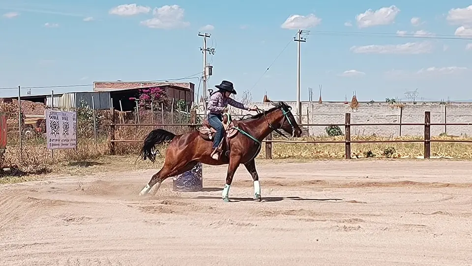 SE REALIZÓ 1ER SELECTIVO ESTATAL DE RODEO RUMBO A NACIONALES CONADE 2025