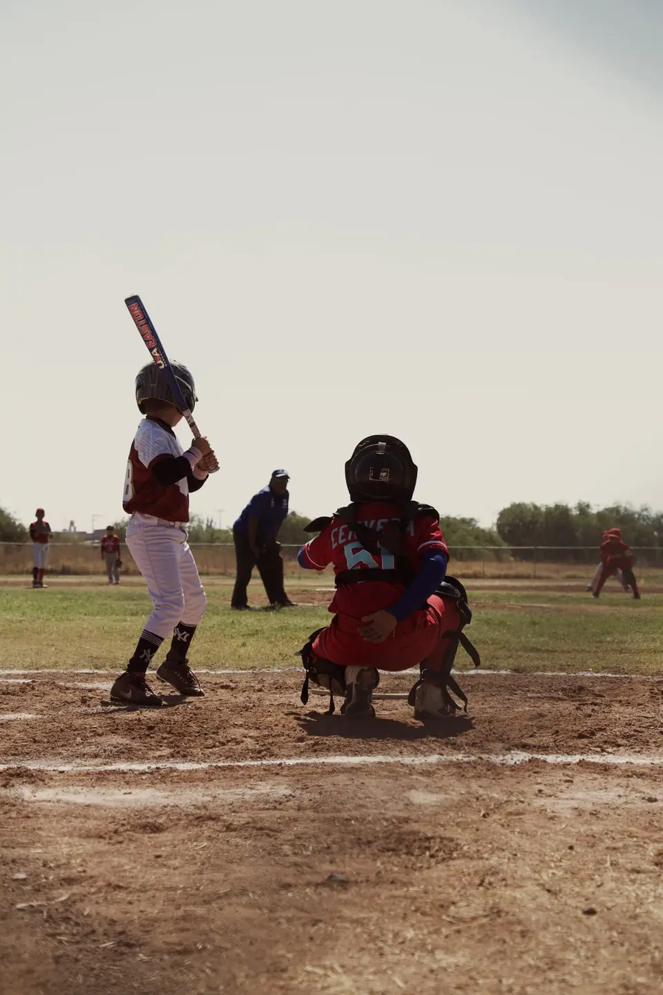 GANARON CELAYENSES DENTRO DE LA LIGA TELMEX DE BÉISBOL
