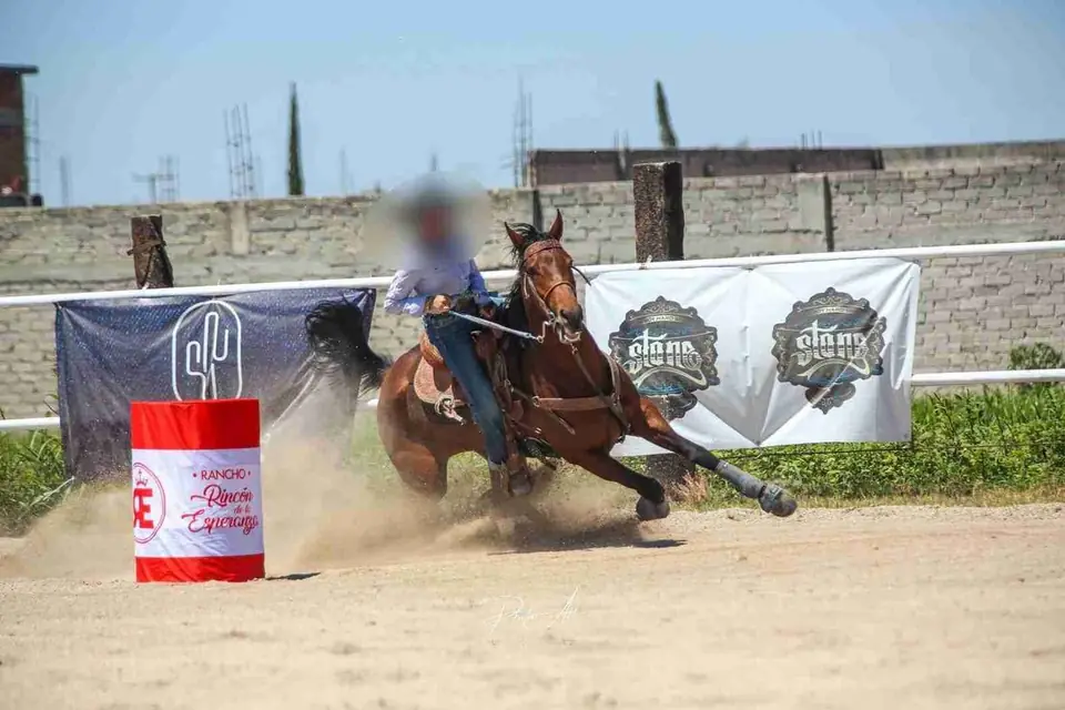 AVANZAN CELAYENSES EN LA DISCIPLINA DE RODEO A LA OLIMPIADA NACIONAL CONADE 2026